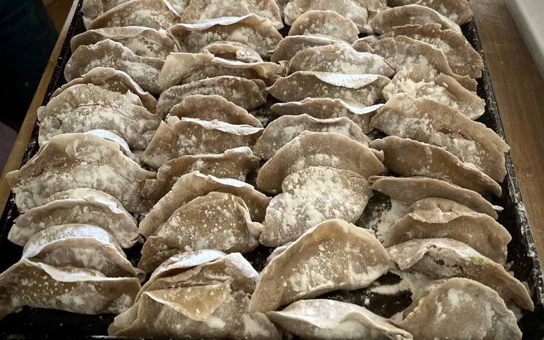 Raviolis chinois — sans gluten / sans laitage