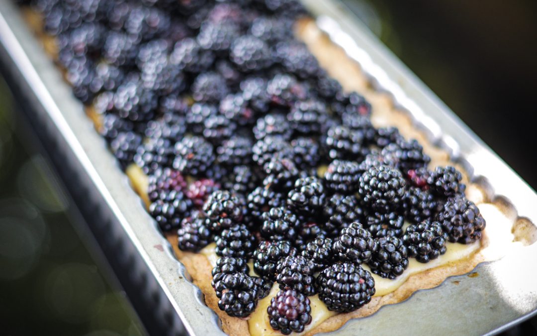 AIP Pie Crust